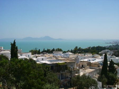 Il villaggio di pescatori di Sidi Bou Said famoso per le sue case bianche e azzurre