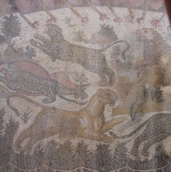 Leoni e pantere accerchiate in un recinto: particolare del mosaico della caccia