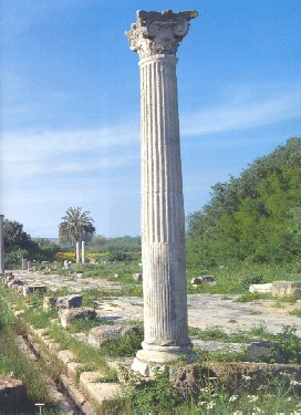 Resti del Foro di Ippona