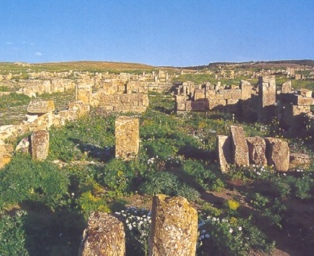 Resti della città romana di Madaura