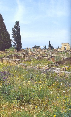 Resti della città romana di Utica