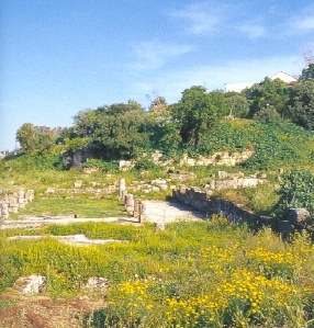 Area archeologica a Ippona