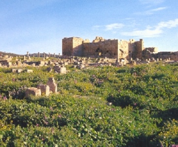 Forte bizantino a Madaura