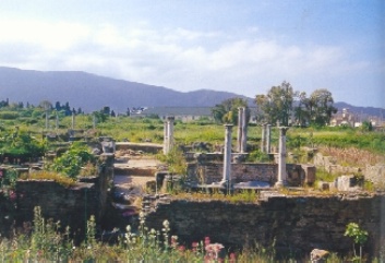 Resti della citt romana di Ippona