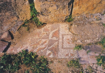 Mosaico paleocristiano a Ippona