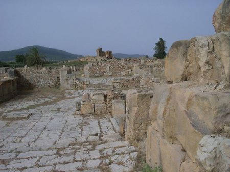 La strada che conduce ai resti del Teatro di Bulla Regia
