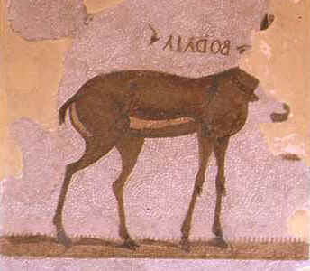 Mosaico della gazzella detta Bodala. Risale al III sec. d. C. da Museo del Bardo