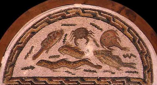 Mosaico a semicerchi che tappezzava un fondo di una fontana che apparteneva all'impluvium di una villa di Douggha