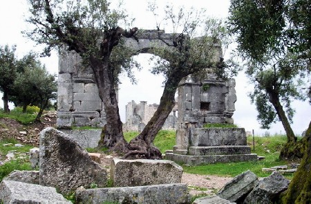 L'arco di Alessandro Severo: un monumentale ingresso alla città