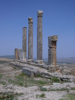 Il colonnato superstite del tempio dedicato a Saturno