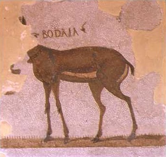 Mosaico che raffigura una gazzella