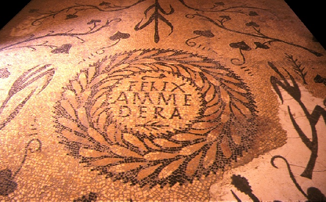 Mosaico dedicato ad Ammaedara citt Felix