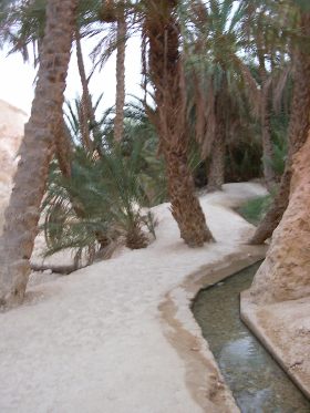 Il flusso d'acqua fra le palme corre verso il villaggio montano di Cebika