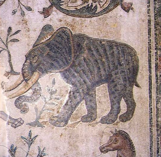 Mosaico con una immagine di elefante