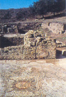 Il tepidarium con l'immagine di Nettuno