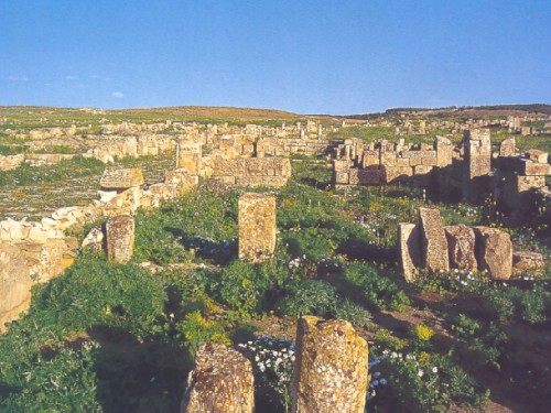 Resti della città romana di Madaura