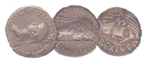 Monete al Museo archeologico di Rabat, battute in Marocco nel I sec. d. C.
