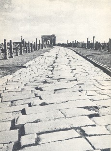 La strada che porta all'Arco di Trionfo