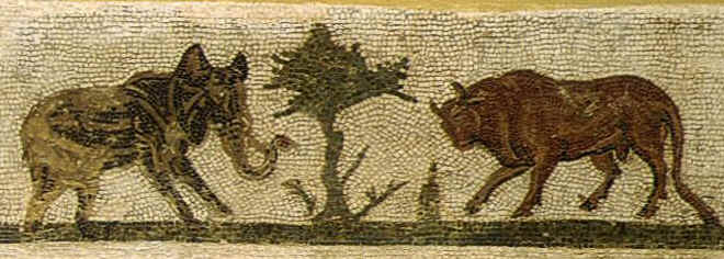 Mosaico che rappresenta, uno di fronte all'altro, davanti a una pianta di ulivo, un toro e un elefante. L'opera è conservata al Museo del Bardo.