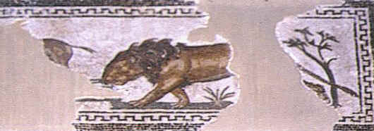 Piccolo pannello con un frammento di mosaico che mostra un leone che insegue un onagro o un mulo. L'opera è conservata al Museo del Bardo.