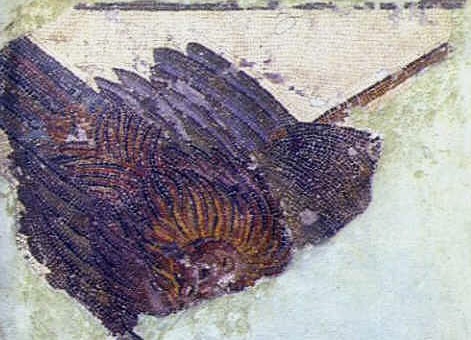Piccolo pannello con un frammento di mosaico. Si tratta di una decorazione xenia, cioè una natura morta. L'opera risale all'inizio del II sec. d. C. ed è conservata al Museo del Bardo.