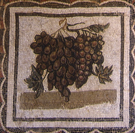 Mosaico con grappolo d'uva, Museo del Bardo
