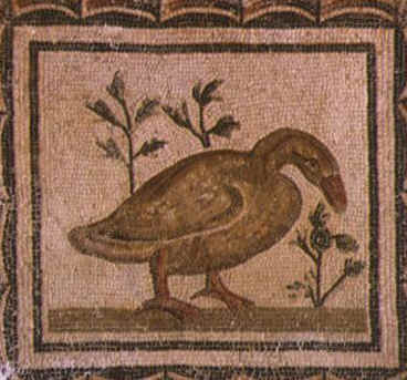 Mosaico che rappresenta un'oca. Faceva parte del pavimento di un triclinium.