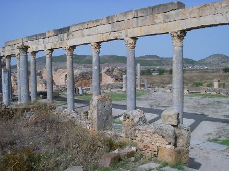 I grandiosi resti del colonnato della palestra di Petronio Felix