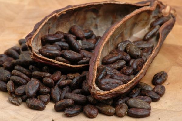 Il frutto del cacao