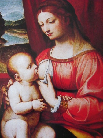 La Vergine del latte in un'opera di Luini