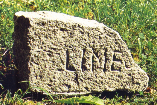 Il frammento epigrafico con la scritta LIMES