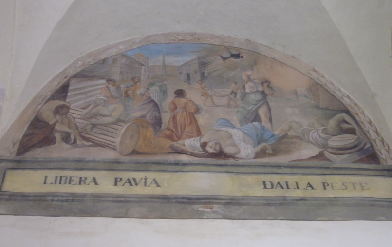 Agostino salva Pavia dalla peste, lunetta nel chiostro del convento agostiniano di Cortona
