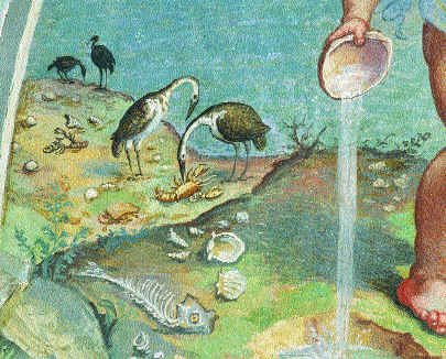 Uccelli, crostacei e conchiglie sull'arenile sullo sfondo del bambino che versa l'acqua in un buco