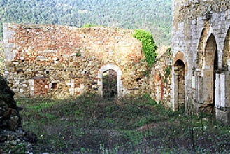 Resti della chiesa dell'insediamento agostiniano di Rosia