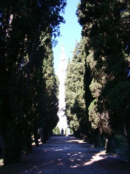 Il grandioso viale di cipressi che con un cono d'ombra impressionante conduce all'entrata del mausoleo