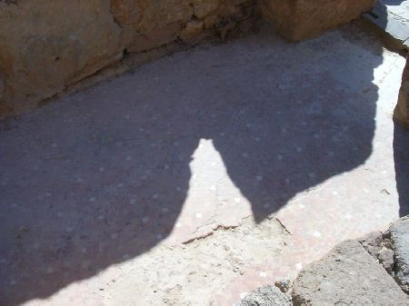 Mosaico di un pavimento di una casa del quartiere
