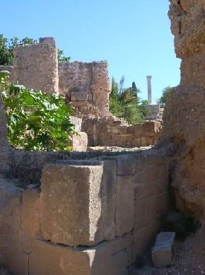 Ruderi sulla collina di Birsa