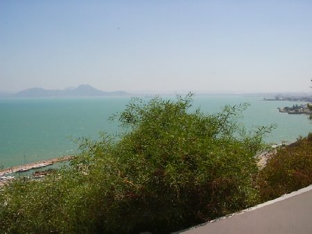 Bellissima vista del porticciolo e del golfo di Tunisi dalla sommità della collina