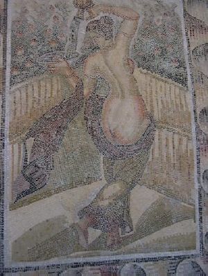 Donna che versa l'acqua in una ciotola
