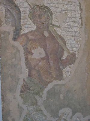 Testa di pescatore