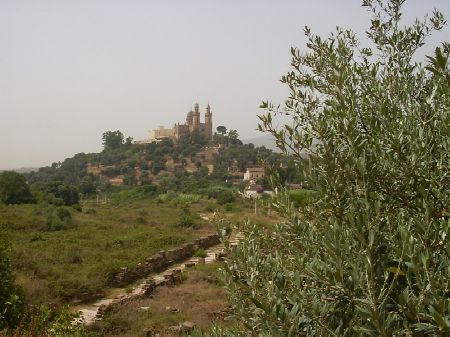 La strada romana che sale alla Basilica di S. Agostino sul colle di Ippona