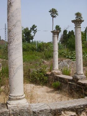 Basilica Donatista: spazi interni adibiti al culto religioso