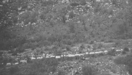 La strada che da Guelma portava a Ippona