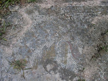 Frammento di mosaico a disegno floreale del pavimento prossimo al battistero