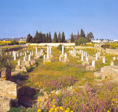 Damous-el-Karita: Basilica paleocristiana