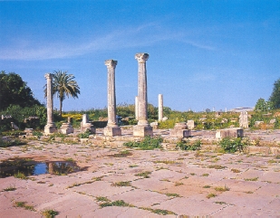 Resti del Foro di Ippona