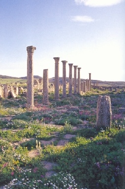 La strada romana di Ippona