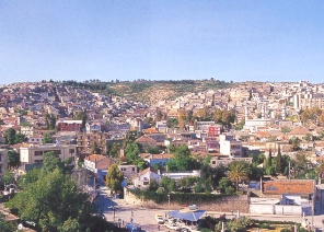 Veduta della citt di Tagaste