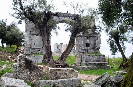 L'arco di Alessandro Severo: un monumentale ingresso alla citt