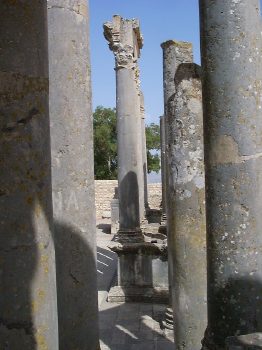 La selva di colonne che abbelliscono la scena